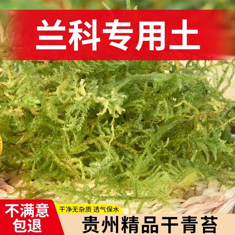 干苔藓水苔蝴蝶兰花专用营养土植物爬宠乌龟冬眠垫材铁皮石斛种植