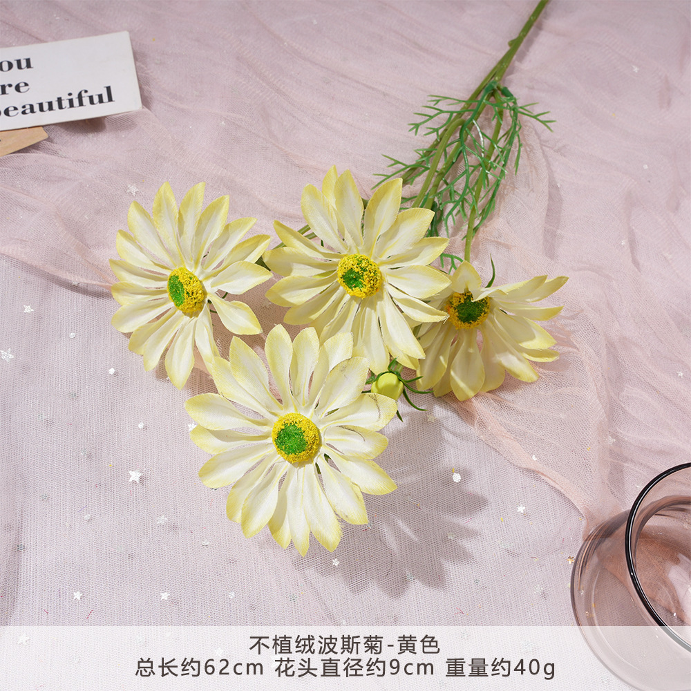 FS-不植绒波斯菊-黄色