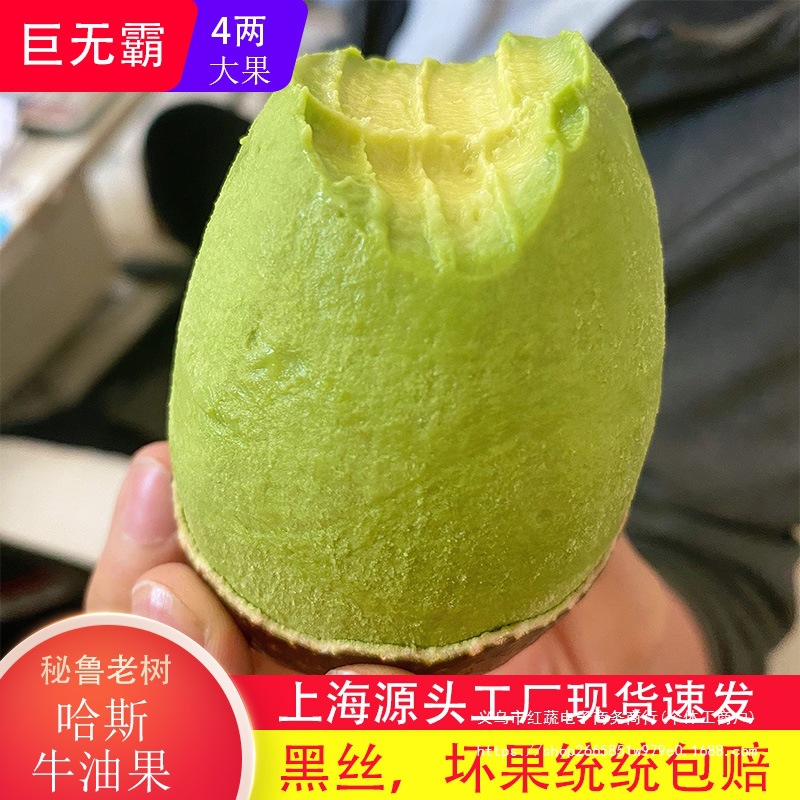 Avocado Large Fruit Fresh Fruit 15 Pieces Seasonal Ripe Ready-to-Eat Butter Fruit Baby Complementary Food Whole Box