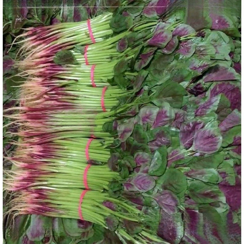 Красные резинки для завязывания крабов и овощей, высокоэластичные резиновые кольца, резинки из воловьей кожи, резиновые кольца, резинки.