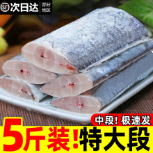东海带鱼新鲜冷冻超大段带鱼中段带鱼大段带鱼段海鲜水产
