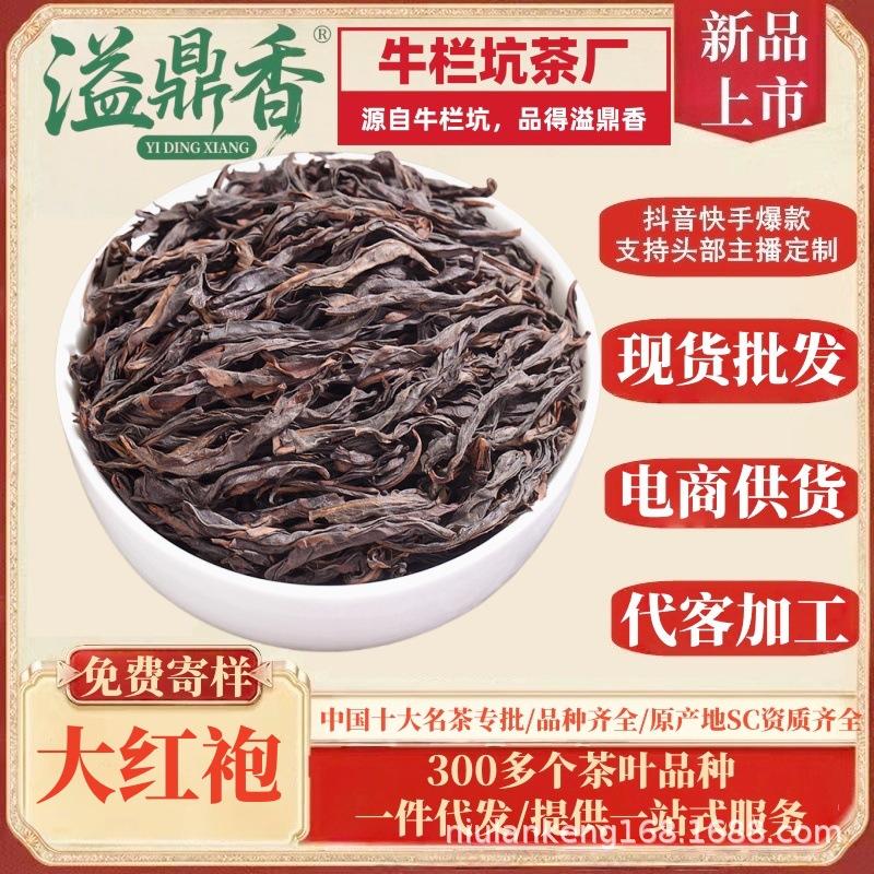 溢鼎香武夷大红袍茶叶肉桂批发 散装2025高山乌龙茶福建果香岩茶