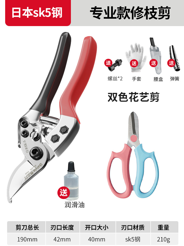 Tijeras de rama de fruta Yizili tijeras de jardín de primavera SK5 hoja de acero tijeras de jardinería doméstica tijeras de podar Bonsai de jardín al por mayor