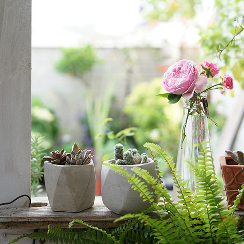 Nordic diamond pattern geometric cement succulent special flower pot small creative breathable mini round plant pot pottery pot