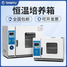 늟aشѿ΢ҼùֲNB