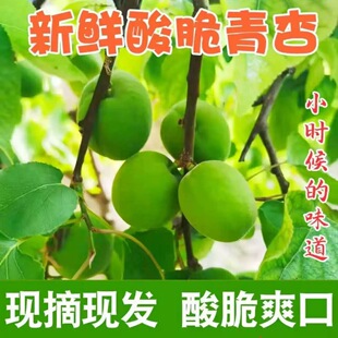 ��ܛ�ˡ�С���������ӾG���Ӯ���1/2���r�������ЋDˮ�����r