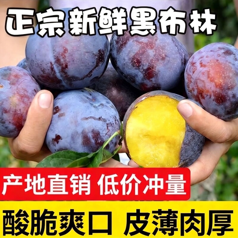【Freshly Picked from the Orchard】Shaanxi Black Plum, Black Gemstone, Sweet and Sour Fresh Seasonal Fruit, Crispy Plum, Free Shipping 【Freshly Picked from the Orchard】Shaanxi Black Plum, Black Gemstone, Sweet and Sour Fresh Seasonal Fruit, Crispy Plum, Free Shipping