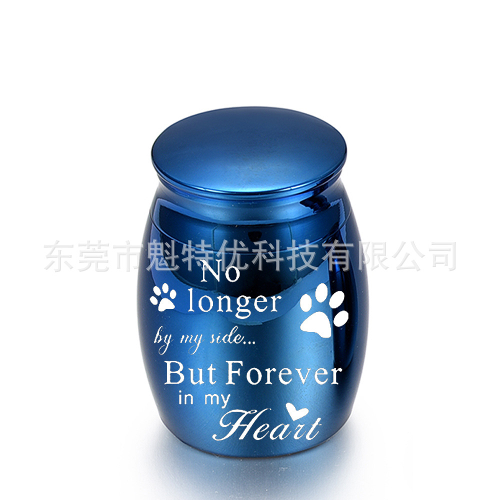 30*40mm Venta caliente PET sigue siendo pelo hueso ceniza titanio acero cinerario ataúd se puede abrir mini botella de perfume