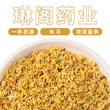 SlVֹ ֱɢb؛  ݲ 𻨲 