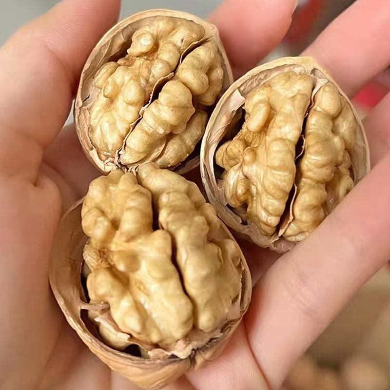 新疆纸皮核桃2025年新核桃 饱满大颗粒手捏即开阿克苏薄皮生核桃|undefined