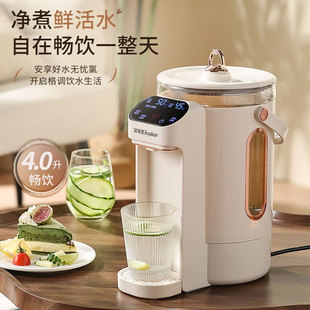 Rongshida (Royalstar) Constant Temperature Kettle Household Boasting Water and Electric Hot Water Bottle Automatic Drinking Intelligent
