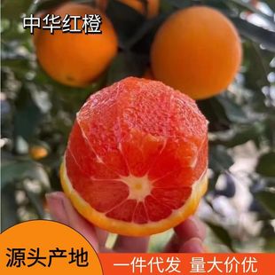 ���w���A�tѪ�ȼt��t��Ě�����䑪��ˮ�����l���l����朮a�س���