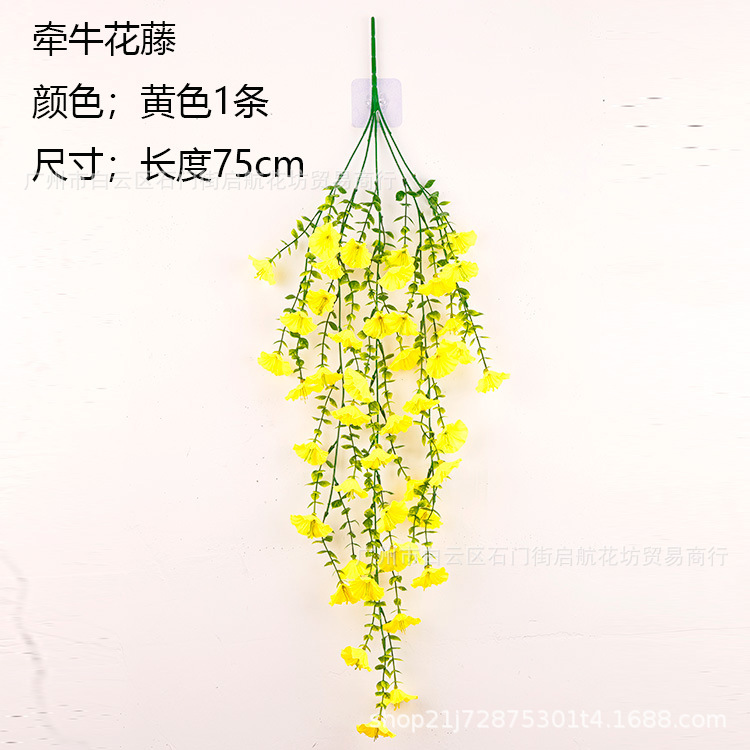 [노란색 + 나팔꽃 등나무]