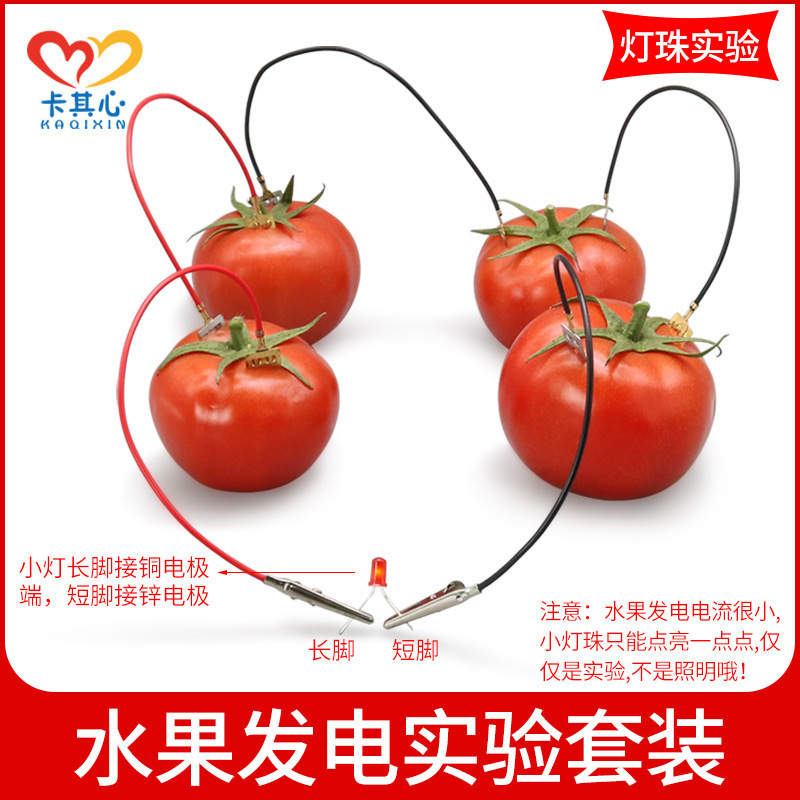 DIY homemade fruit battery power generation experiment zinc copper potato technology small production invention instrument physical materials DIY homemade fruit battery power generation experiment zinc copper potato technology small production invention instrument physical materials