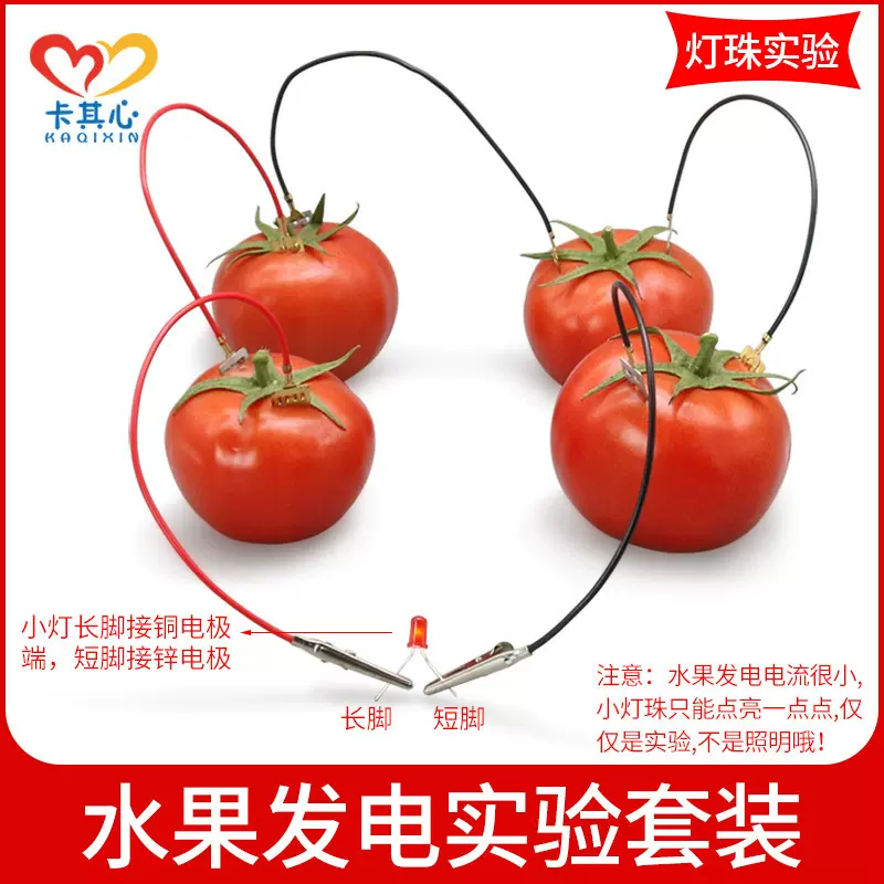 DIY自制水果电池发电实验 锌铜片土豆科技小制作发明仪器物理材料