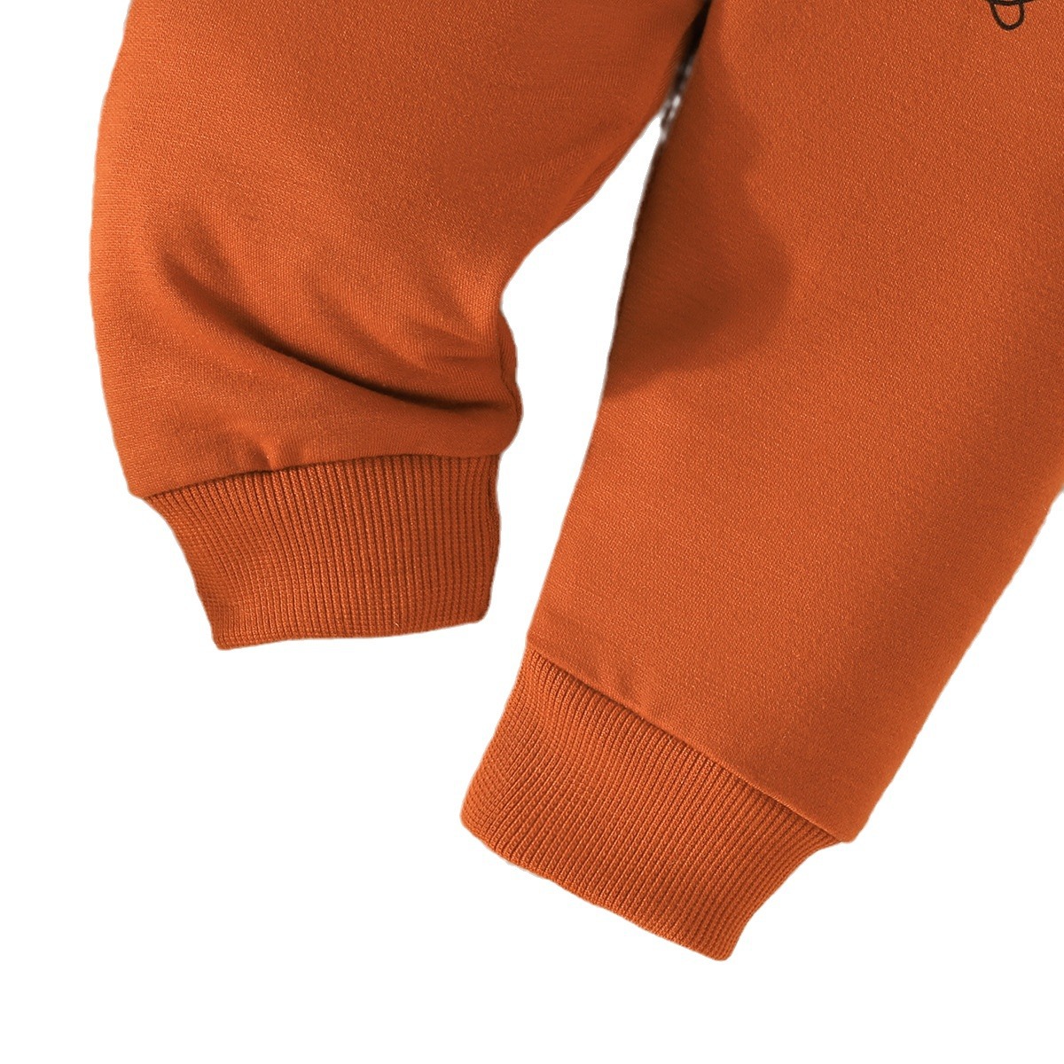New 2024 Spring Autumn hooded for baby boys, solid color sweatshirt and pants set_voghion.com