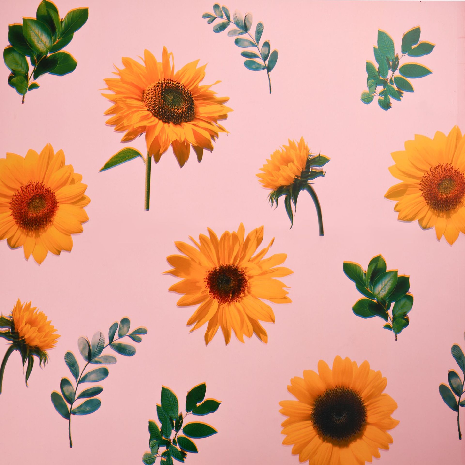 일몰 황혼;57x57cm±5%