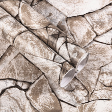 3d�͹Ŵu��ճ�ڼ����I�L�ư��b�����l�ұ��������r�NPVC�����h��