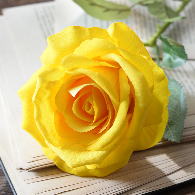 Large velvet rose yellow