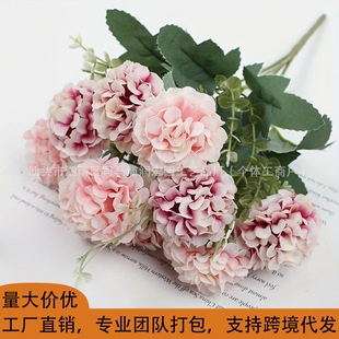 �羳���滨�\�WС��ս����ѹ�Ӣ�Ҿ��bٻ��[����Y�������l�S