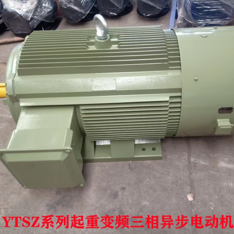 山东厂家直供 YTSZ-315S-4/132KW 起重变频调速三相异步电动机
