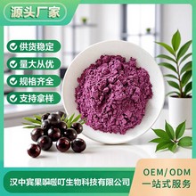 厂家供应 巴西莓粉 固体饮料原料 巴西莓浓缩汁粉 果蔬粉厂家现货