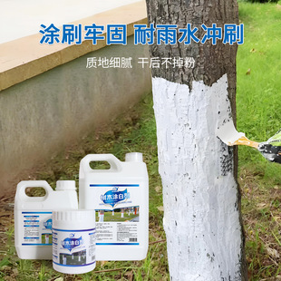 ?ֲ���ľ�����o���T�ׄ����x���񿹃��@ˇ������ľ�T����TĨ��