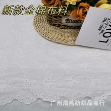 ¿ȫXC̽߅ Bȹ϶Y̨ɫ