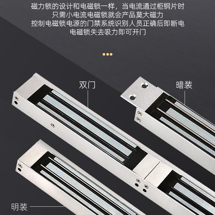 Cámara de control de acceso 60kg 180 cerradura electromagnética 280KG cerradura magnética 350 succión magnética 500 impermeable control electrónico de puerta simple y doble