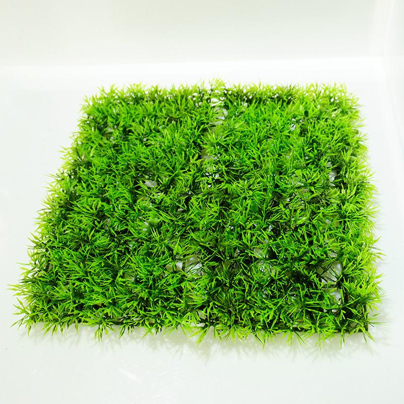 Acuario suministros, fondo de acuario, simulación de paisajismo, venta al por mayor de plantas acuáticas, venta directa de fábrica, decoración de peceras, césped de simulación