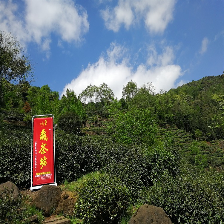 高山生态茶园申请资料IMG_20180408_111932