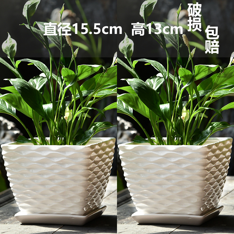 두 개의 큰 물 파문