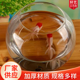 Spherical landscape fish tank glass fish tank hydroponic vase landscape bottle wholesale glass large ball wholesale