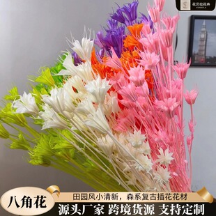 �˽ǻ��ɻ�ɭϵ�͹Ų廨�����ֹ�diy�����Y�в�����Ȼ��@������