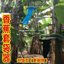 �㽶���߿���s�Ž��ט䲻�P䓴��Ӵ����׷۽����״��״������Ͻ�