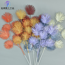 ����3���F�z�m��c�廨�Ƶ��b��Pβ�~