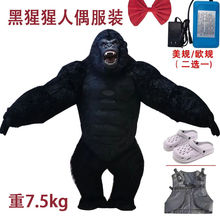 �������ɿ�ͨ��ż���b������˹����ż���ݵ������߷�����