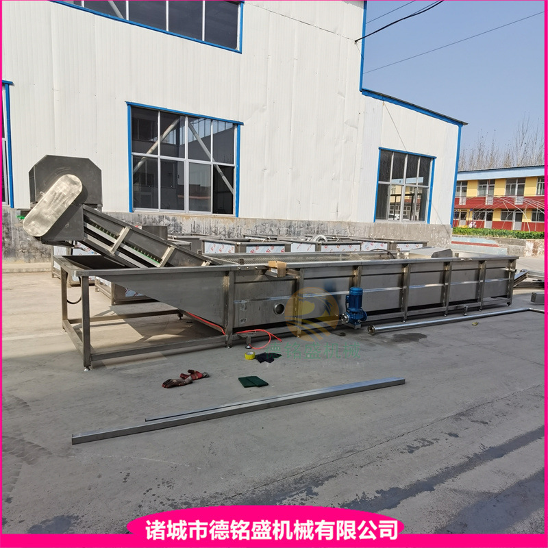 多功能樱桃气泡清洗机型号 全自动蔬菜清洗风干线 预冷清洗线