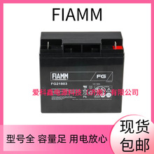 FIAMM�Ƿ���늳� FG21803 12V18AH ��늙�UPS��������늳�