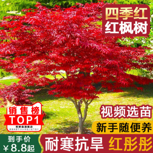 �t�������ļ��t���Լt�輧�ձ��t���ļ����BͥԺ�҃��ͺ�ֲ���辰