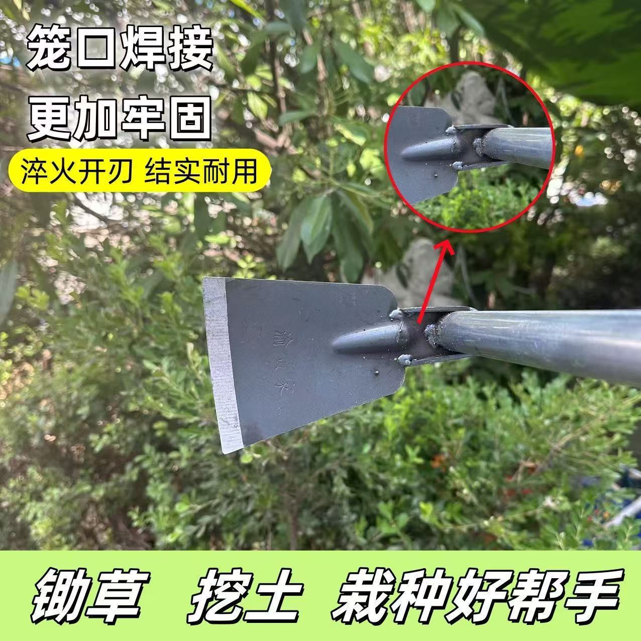 微信图片_20260120134435_11_83.jpg