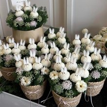 �������������ӻ��@��ż�������|��Ů�������������I���նY��