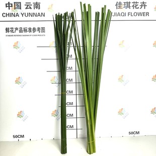 Fresh Water Wax Leaves, Flowers, Leaves, Wedding Arrangements, Floral Arrangements, Event Styling, Brushed Flowers, Hanging Feel, Yunnan Straight Hair