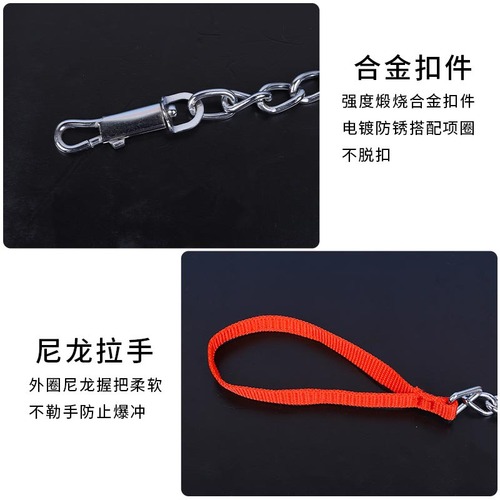 Manufacturer wholesale Pipitao chrome-plated iron chain leash bite-resistant chrome-plated process P chain dog leash