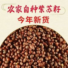 �|�������K����ʳ����ș������ե�������K�������K�����K�ѷNֲ