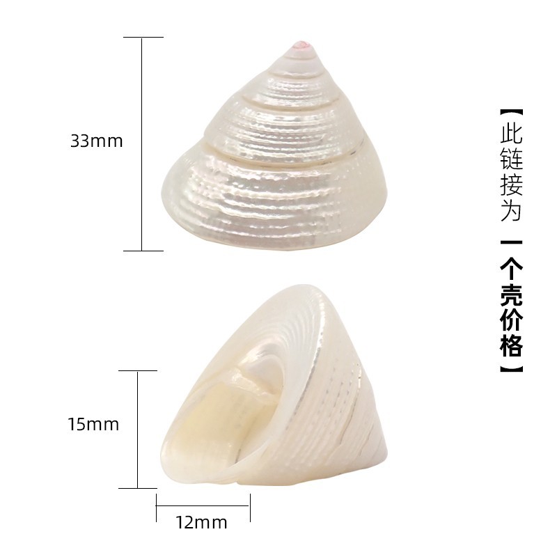 2-3cm에 적합한 보라색 X79 흰색 타워 달팽이
