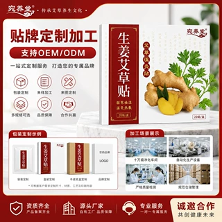 定制生姜贴发热贴温灸贴关节贴肩颈腰腿艾灸贴艾草贴热敷跨境外贸