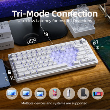 XVX75%����81�I�o���{���Cе�I�P�����SPro혻������k���I�P�羳