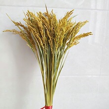 �����b� �浾�ӵ��ȸɻ� ���[�쾰���� �S���ĔzӰ����