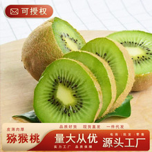 �J�����殐���r�����rˮ���ش�������G�īJ�����ЋD�������l�ͶY